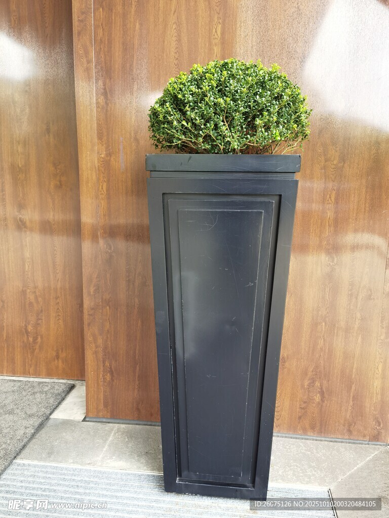 黑色花箱内的翠绿植物