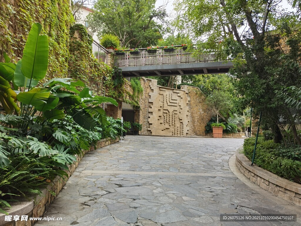庭院绿植环绕的石板小径