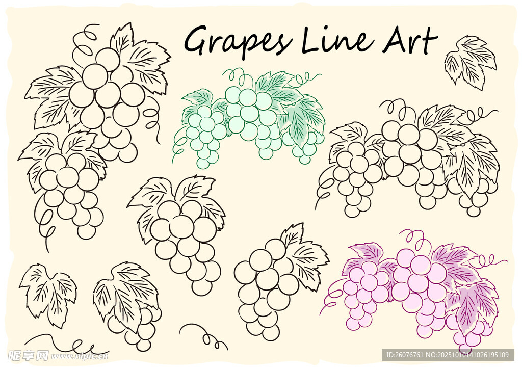 葡萄线条艺术插画
