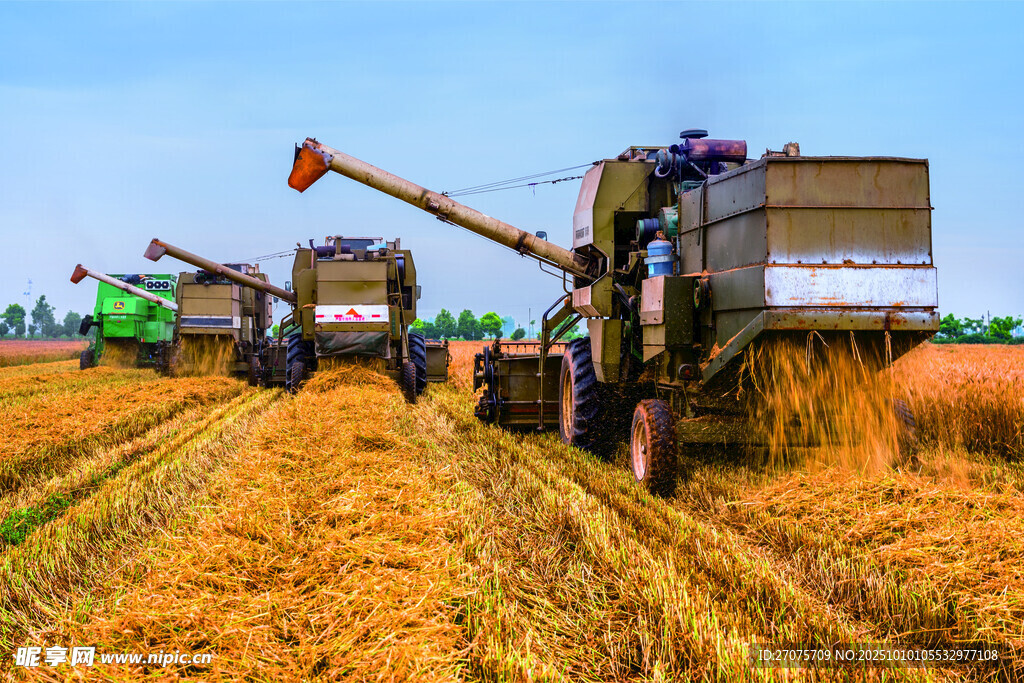 丰收机械化作业