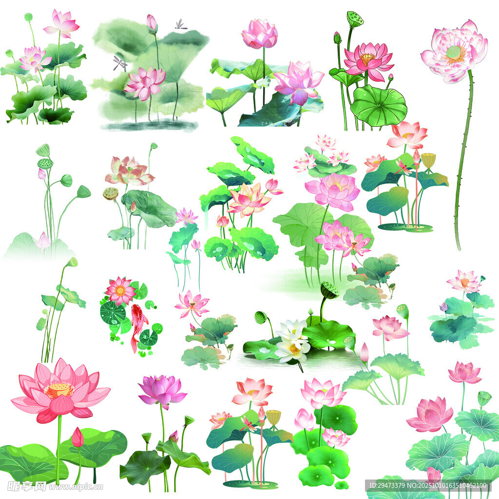 水墨风荷花荷叶插画素材