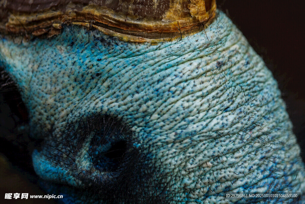 蓝色纹理雕塑局部特写