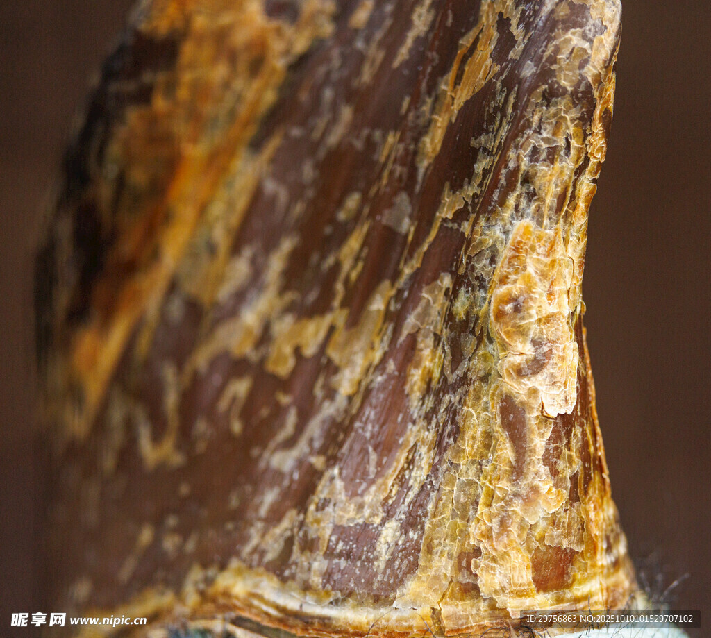 纹理独特的褐色矿物样本