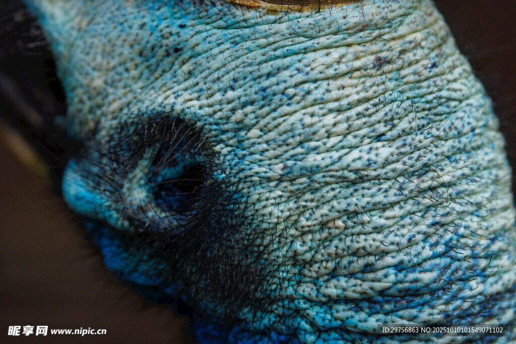 蓝色纹理的神秘物体