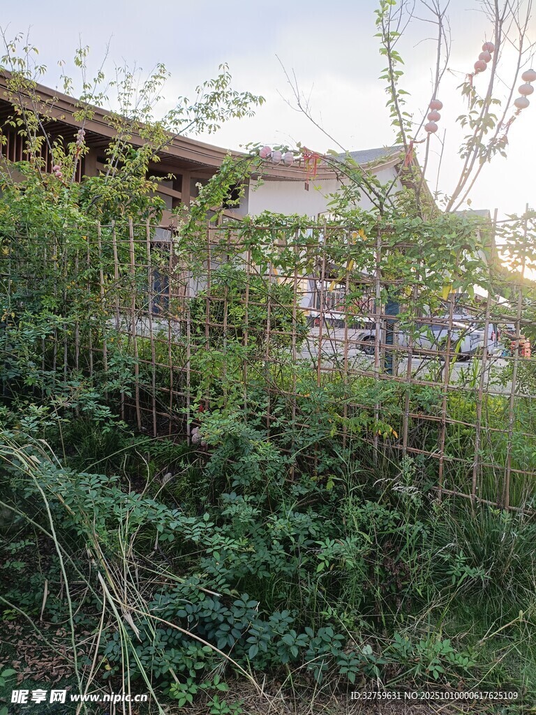 被绿植环绕的林间小屋