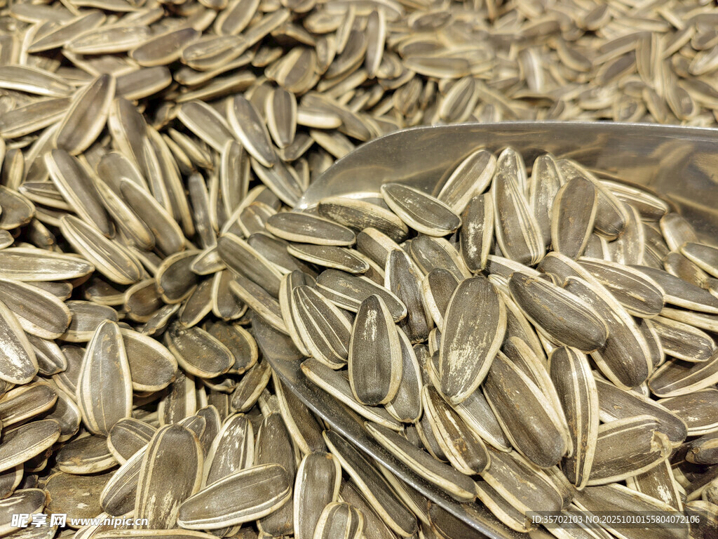 饱满葵花籽 美味零食之选