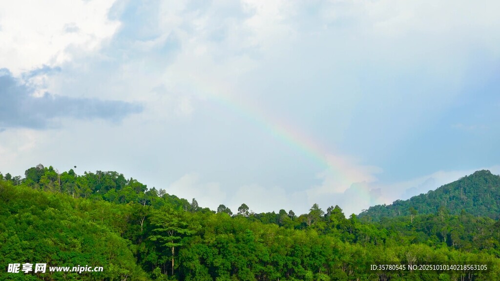山间彩虹映葱郁绿意