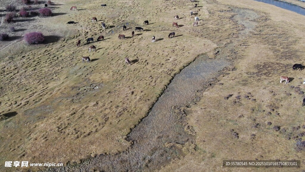 干旱土地中的蜿蜒细流