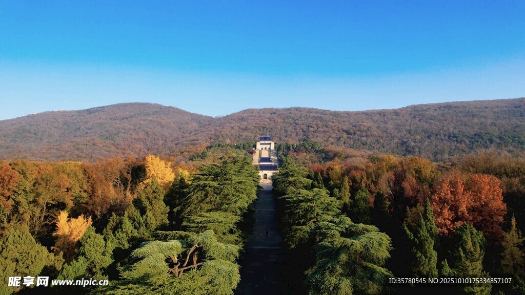 秋日山林中的观景塔