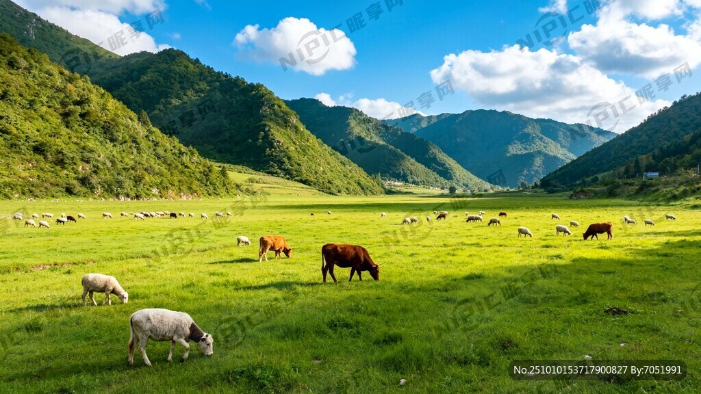 有山 有水 蓝天白云 绿草地