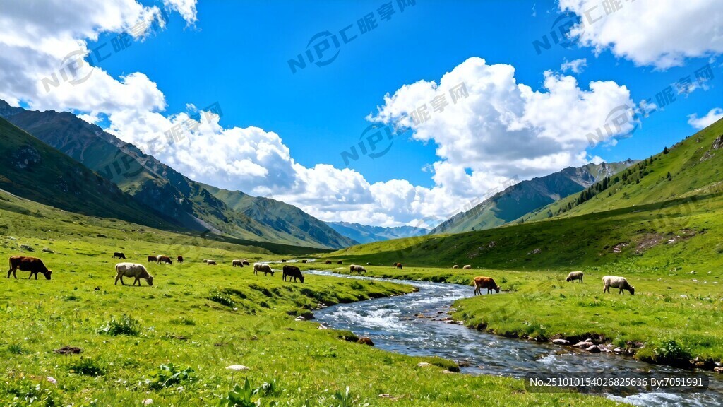 蓝天白云绿草地 有山有水有牛羊