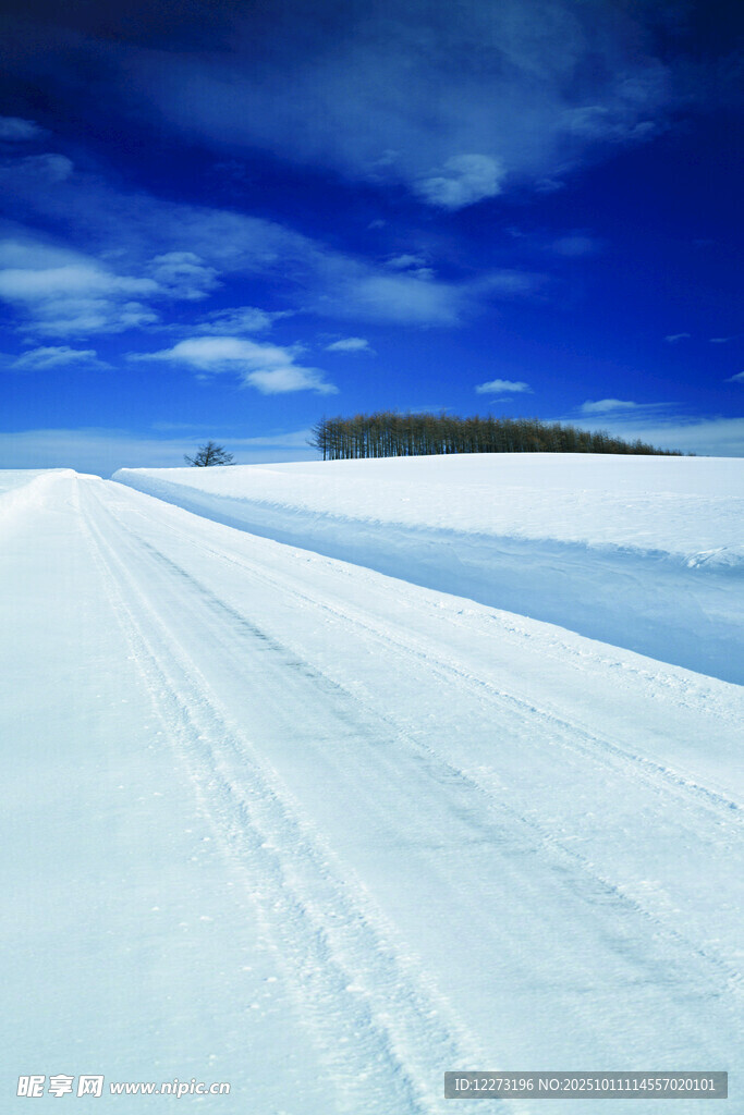 雪野中的延伸道路