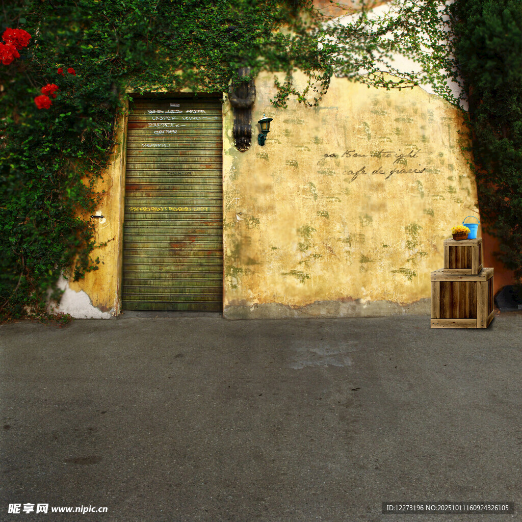 古朴墙面旁的绿植与木门