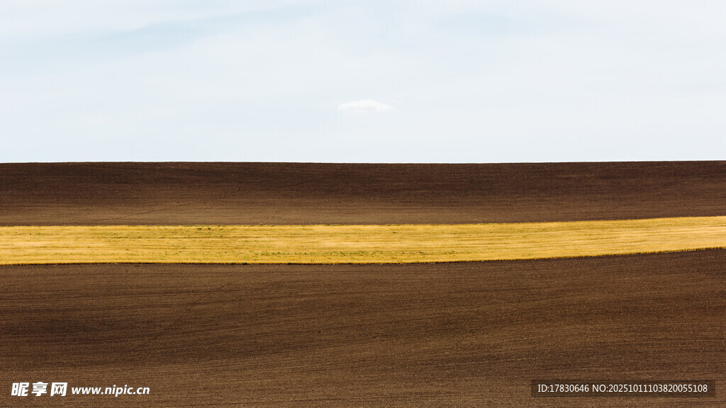 金色田野与蓝天相接