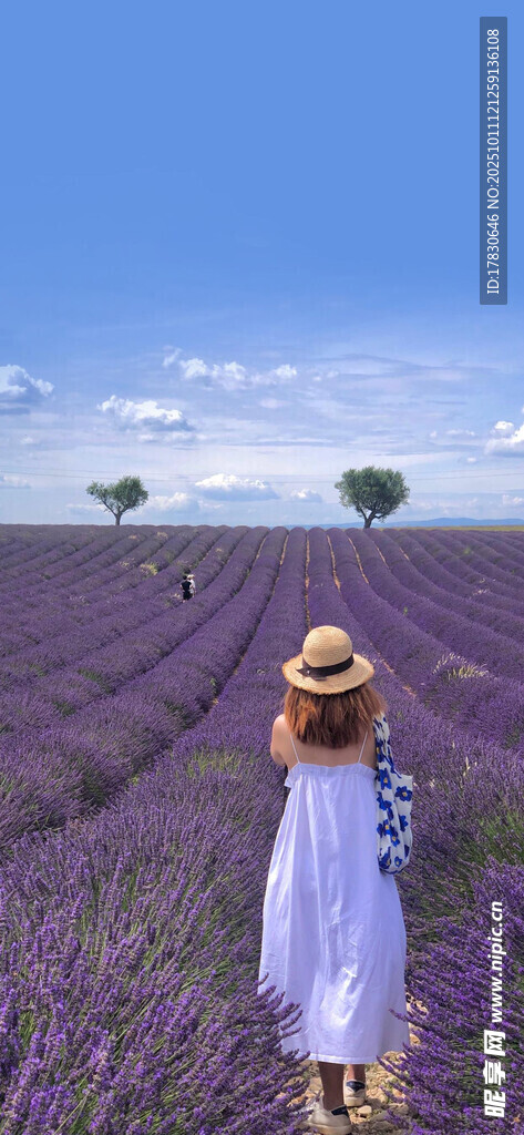 漫步紫色薰衣草花田的女子