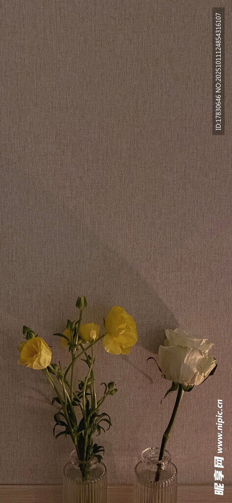 花瓶中的几支多彩鲜花