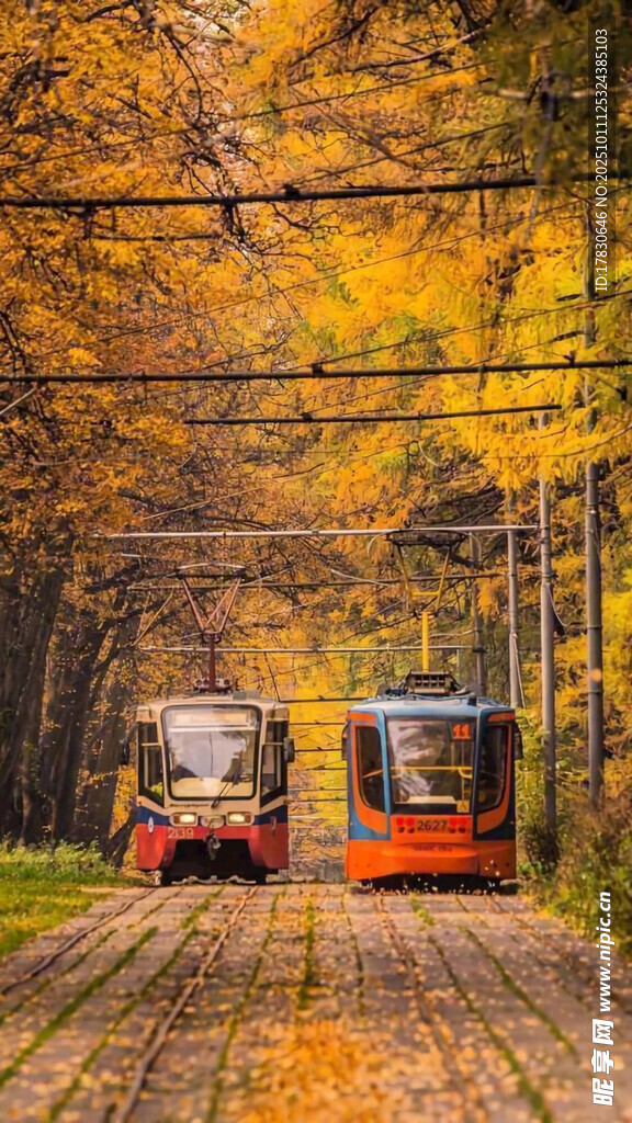 秋日林间的复古列车