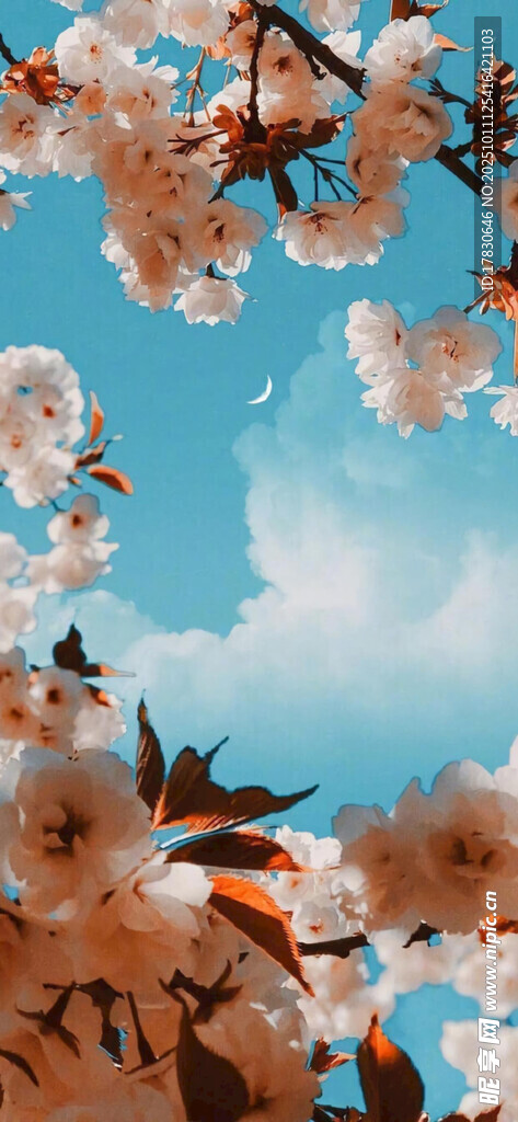 蓝天繁花间飞鸟