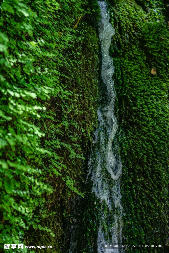 山间翠绿瀑布美景