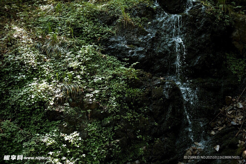 山间小瀑布 绿意环绕
