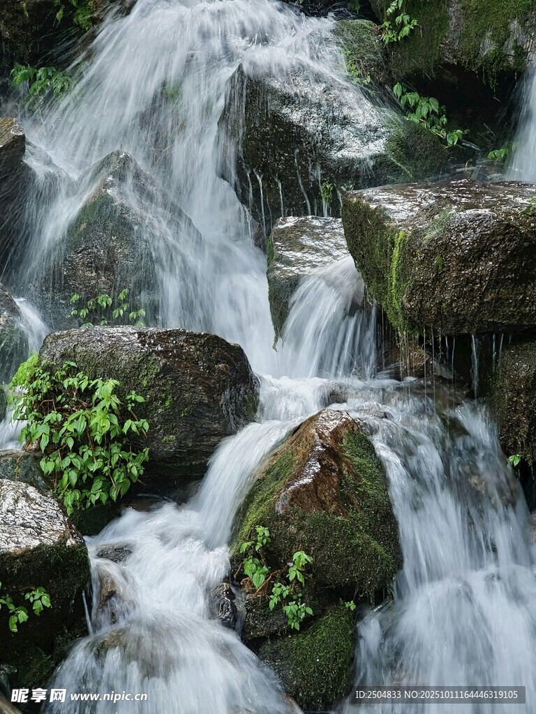 山间溪流潺潺 石上绿意浓