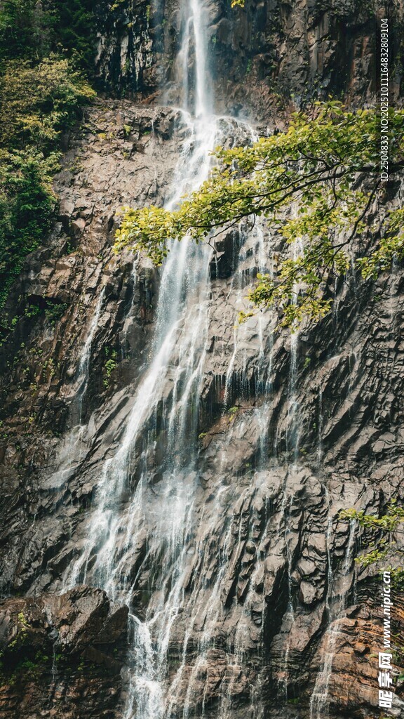 山间瀑布倾泻而下