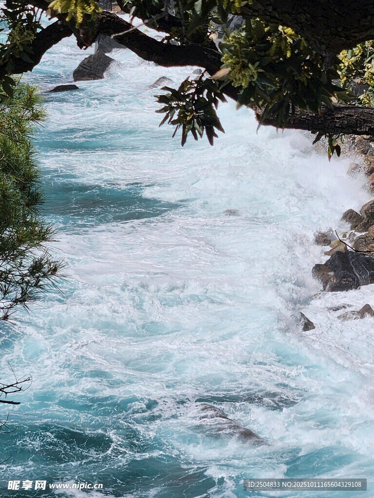湍急溪流中的自然景致