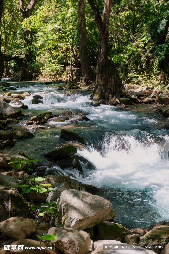 山间溪流 自然清新之景