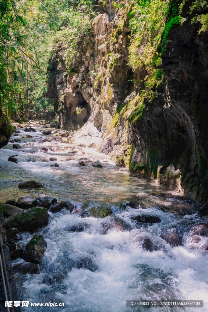 山间溪流潺潺 绿意盎然