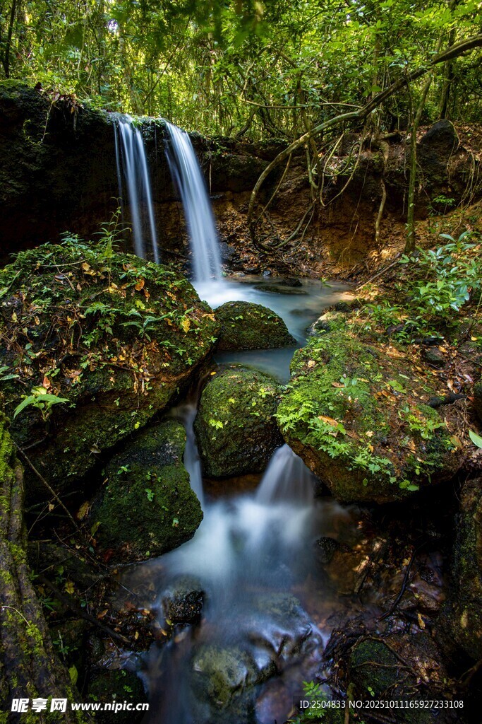森林中的静谧小瀑布