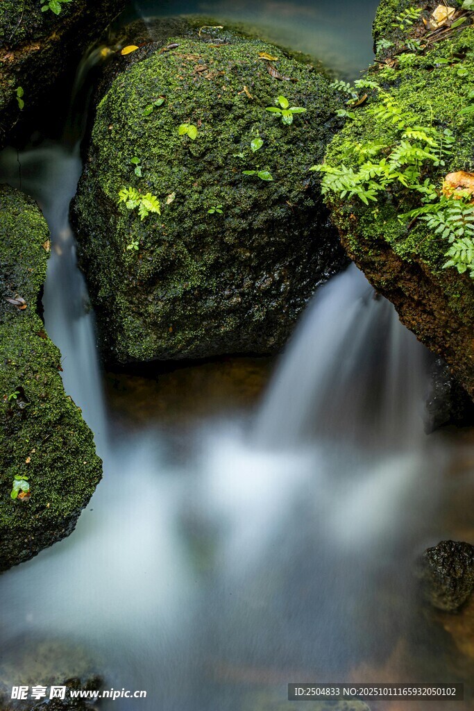 山间青苔覆石的潺潺溪流