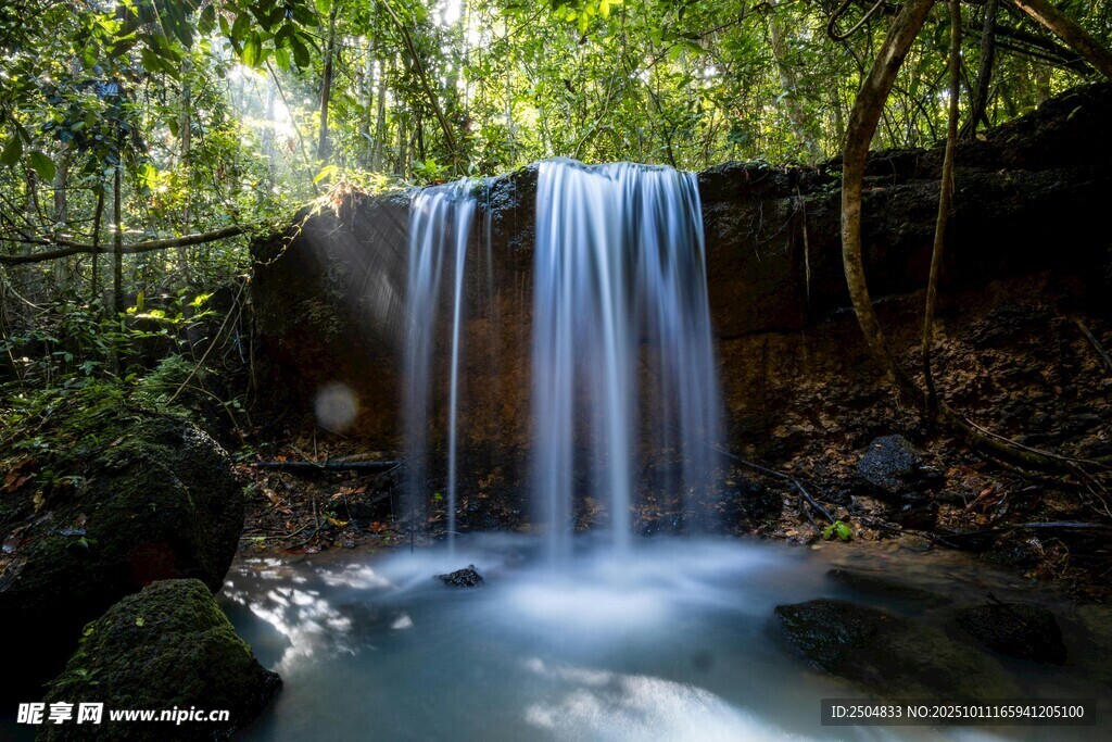 森林中的梦幻瀑布景观
