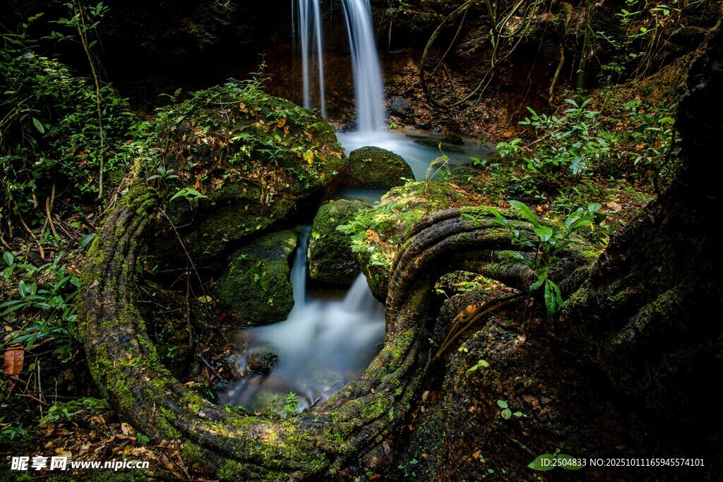 森林中的灵动小瀑布