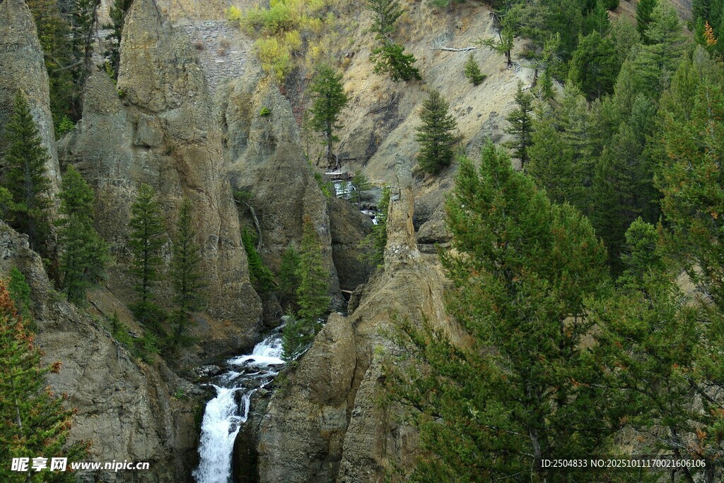 山间瀑布下的葱郁森林