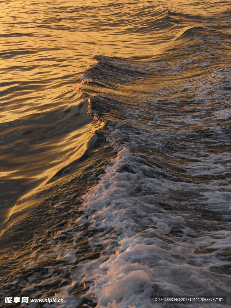 金色海浪 夕阳下的美丽波纹