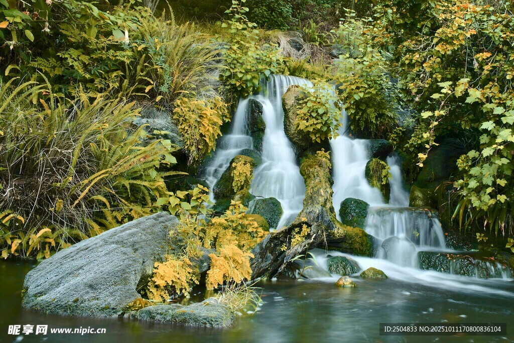 山间瀑布下的盎然绿意