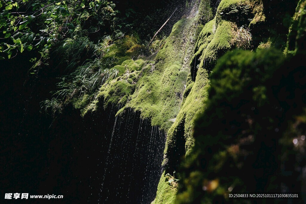 山间瀑布下的翠绿植被