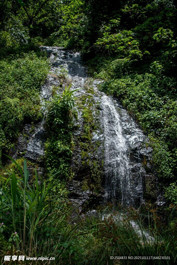 山林间的秀丽瀑布景观