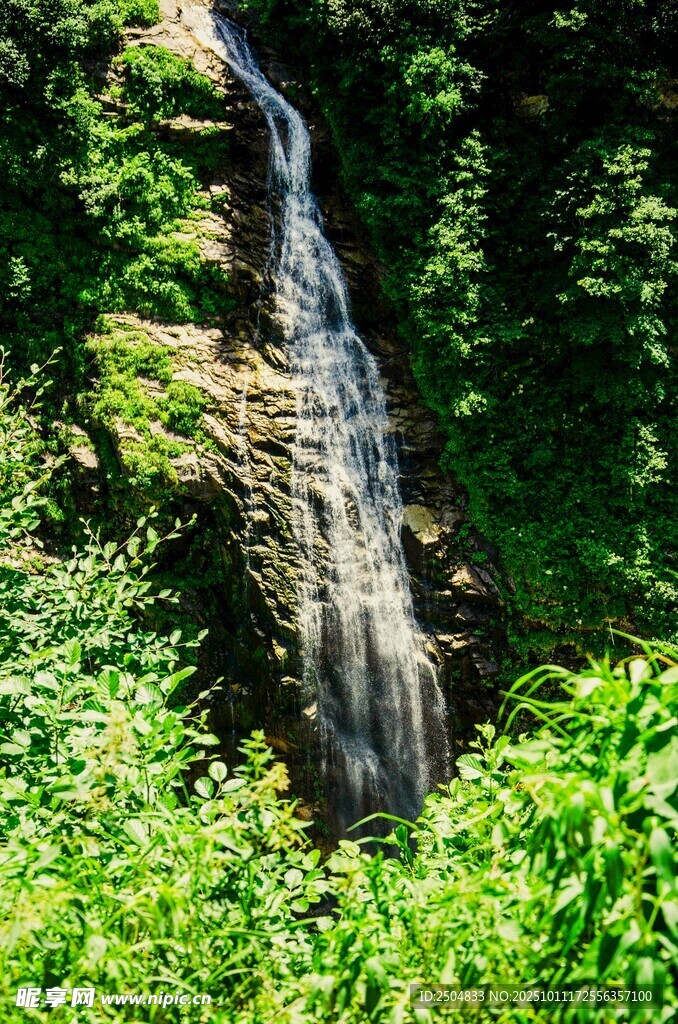 山间瀑布 绿意环绕之景