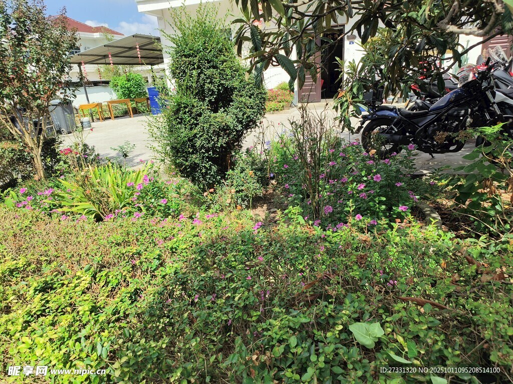 庭院绿植与停放的摩托车