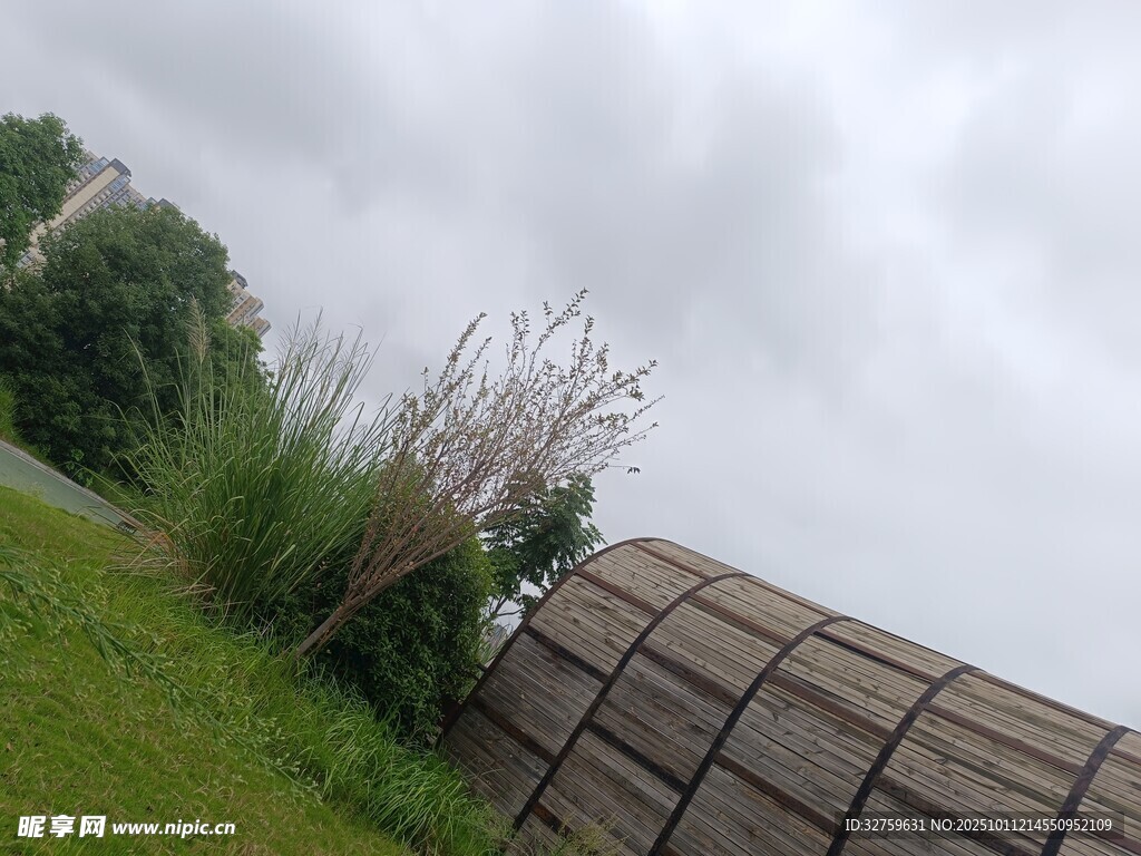 墙边绿植与阴沉天空景象