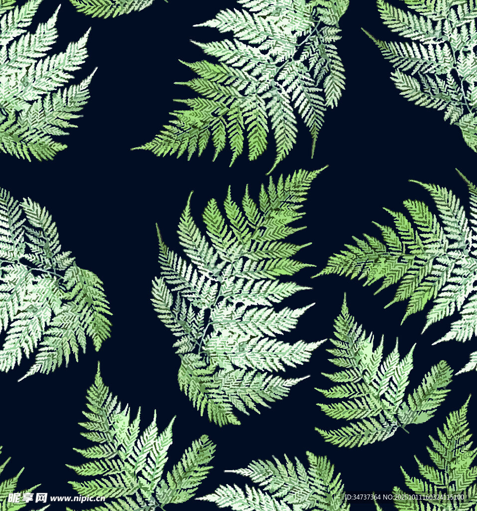 蕨类植物无缝图案背景