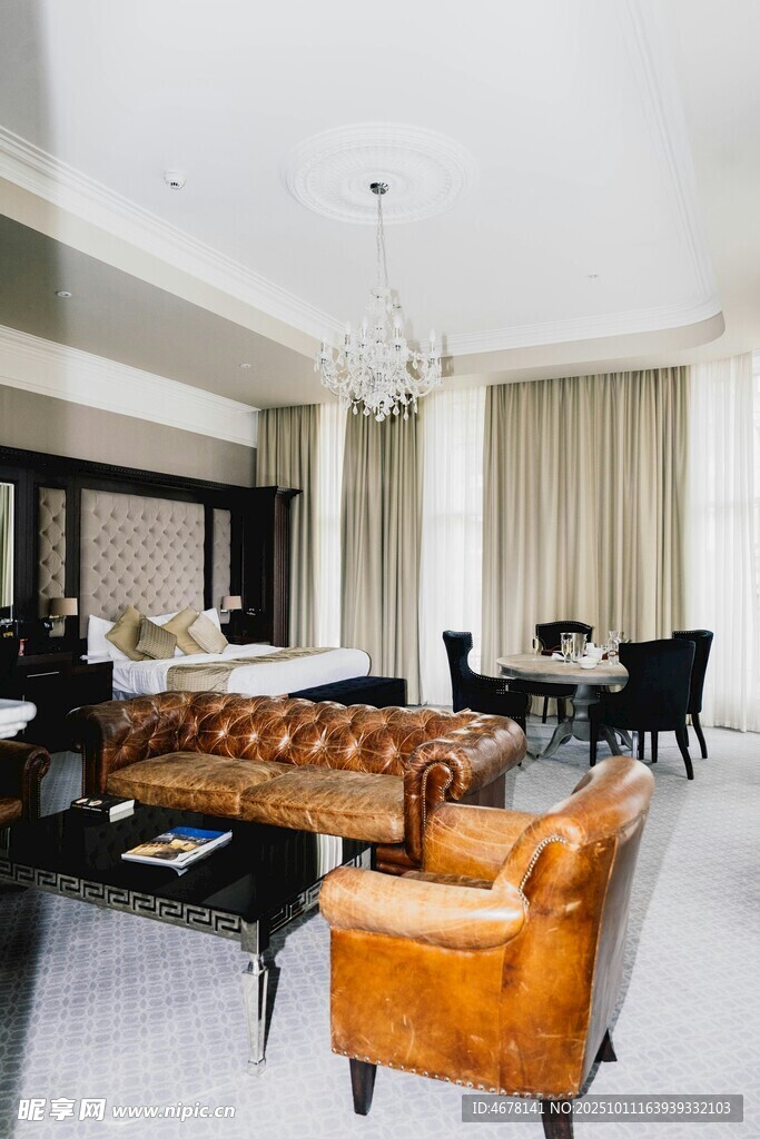 豪华典雅的室内家居场景