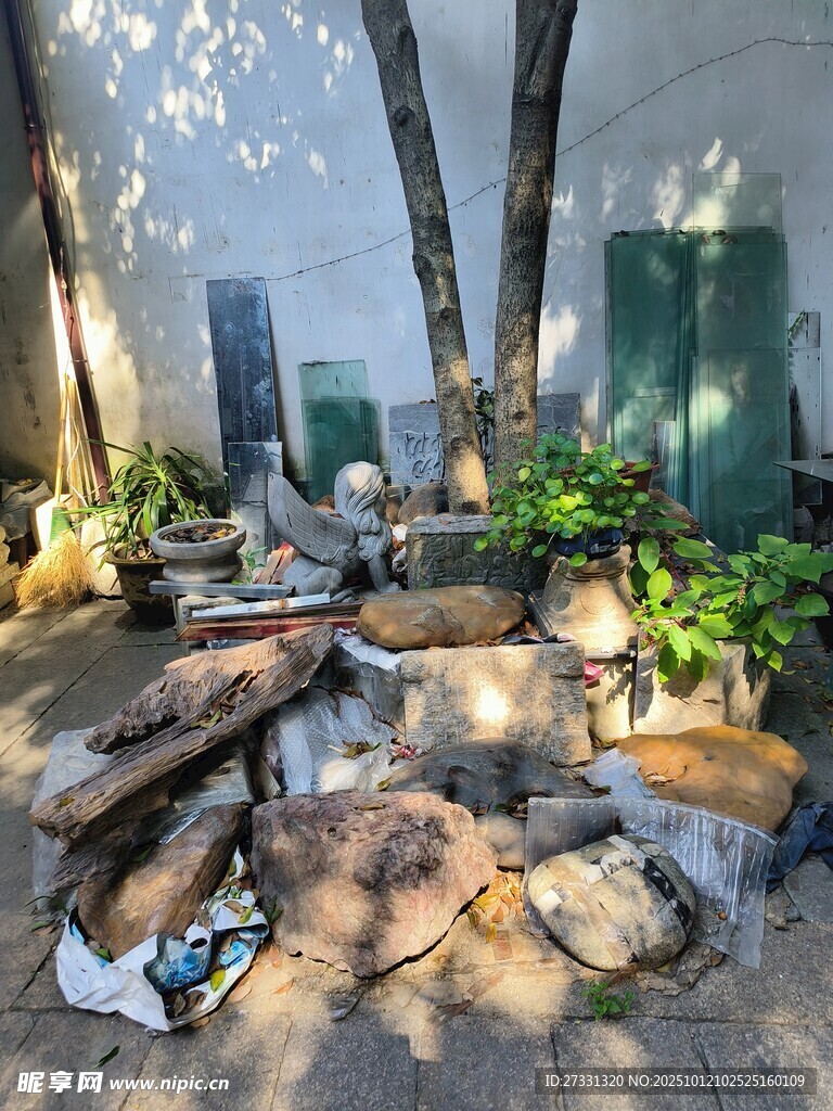 庭院角落的自然小景