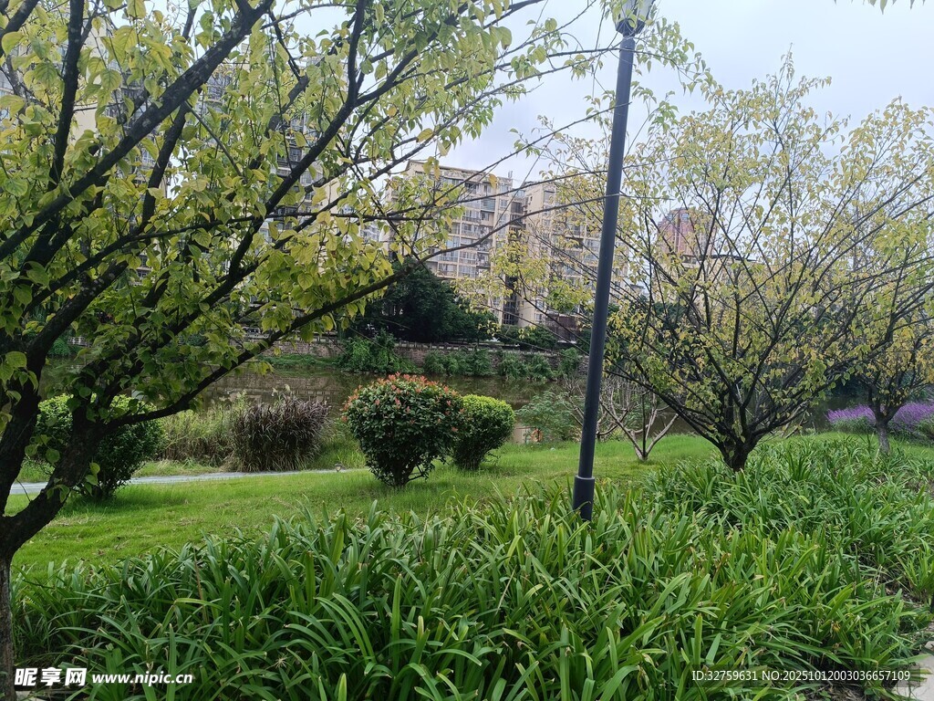 春日园林绿意盎然景观