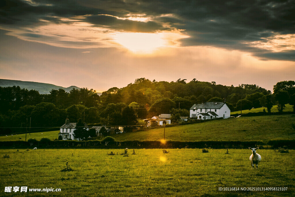 田园黄昏美景