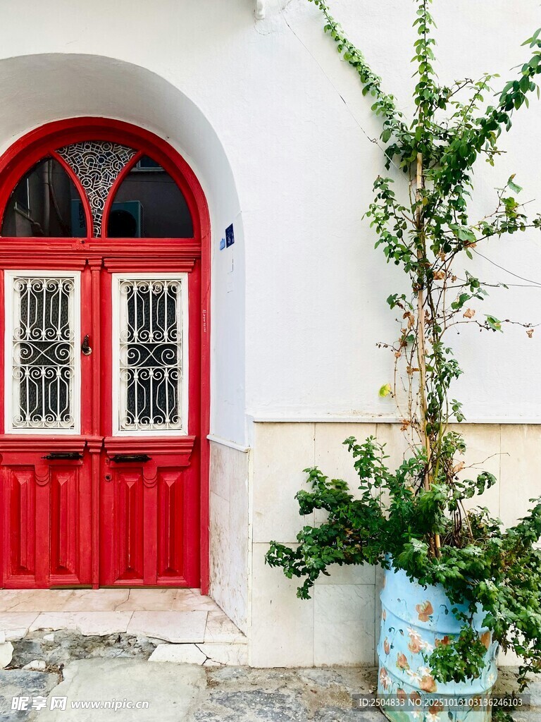 红门白墙旁的绿植景致