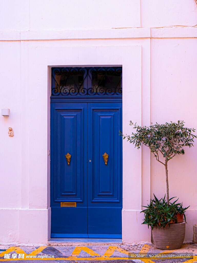 粉色墙前的蓝色门与绿植