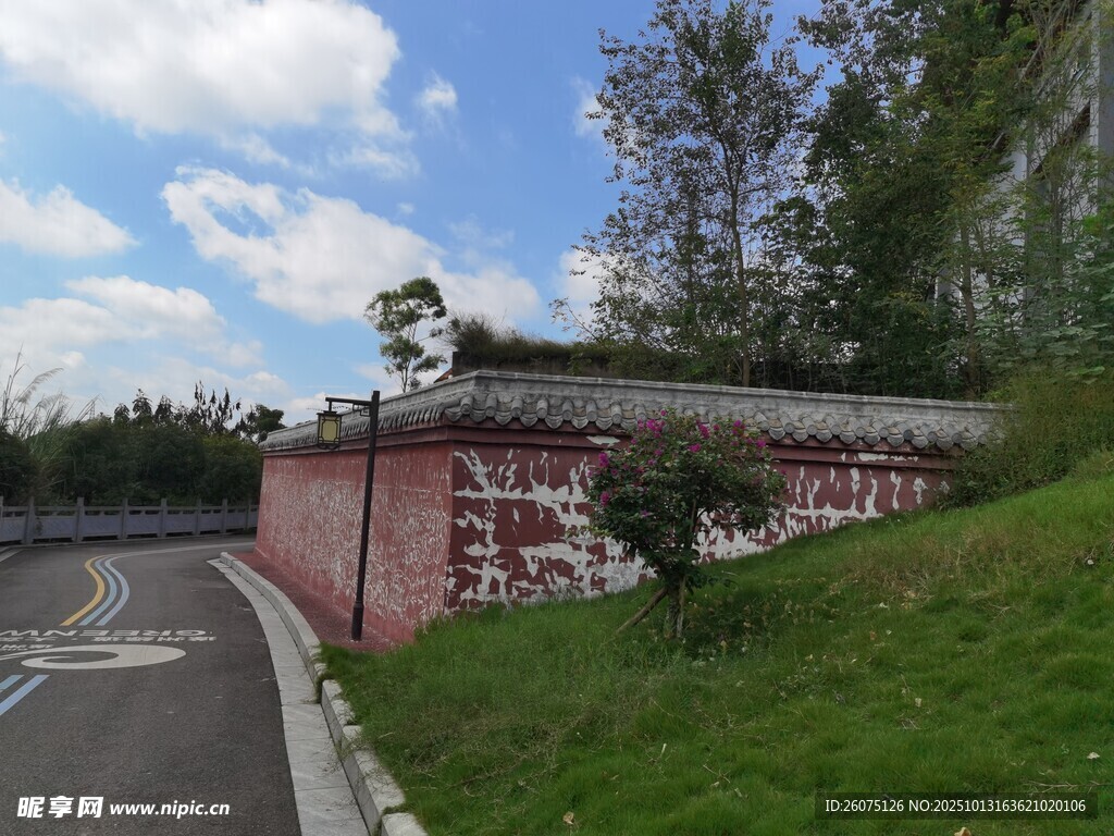路边红墙绿植景致