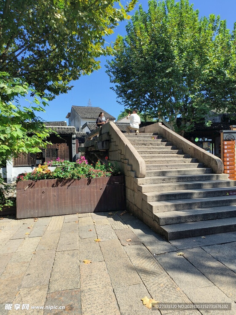 户外石阶旁的绿植景观